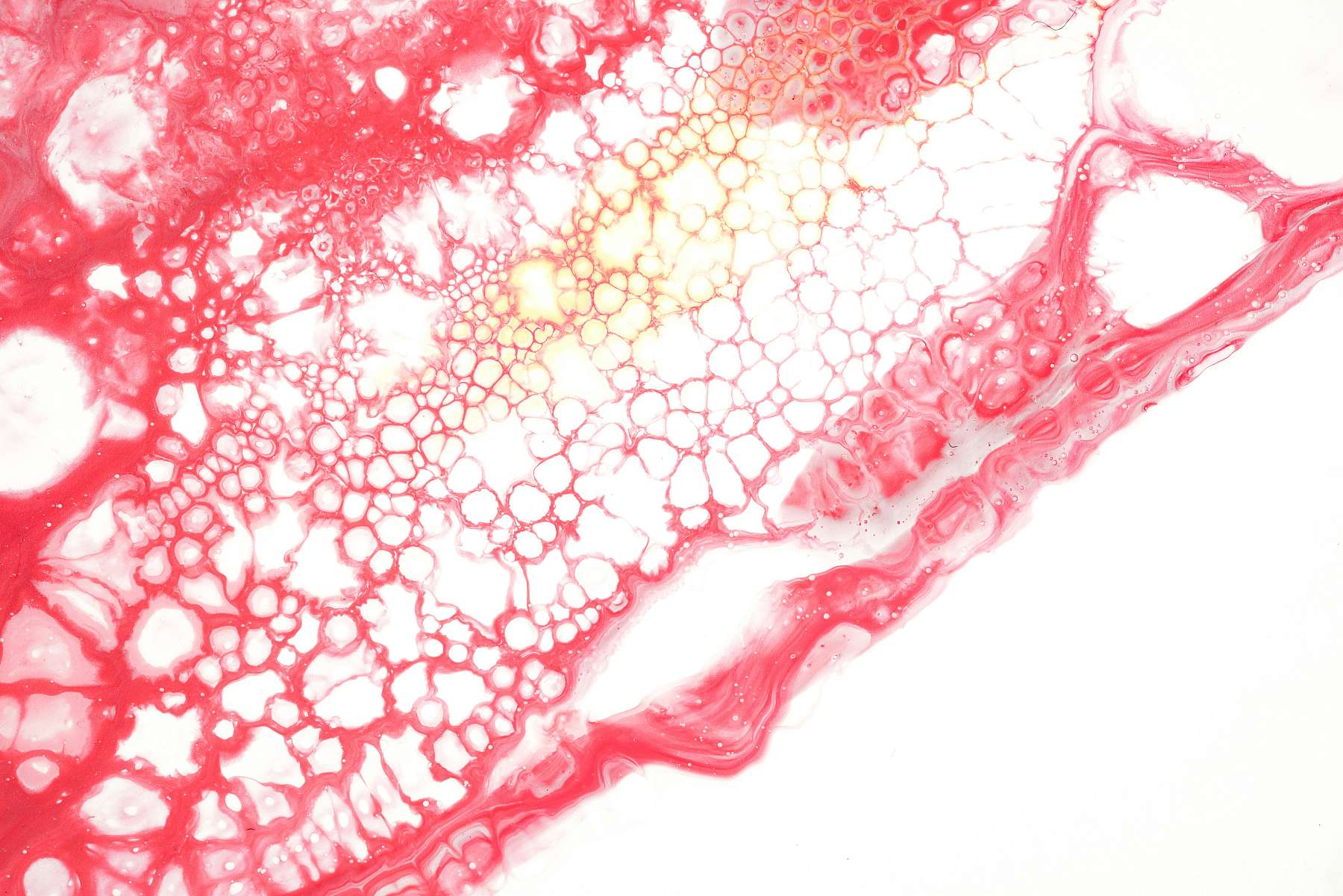 Featured blog image