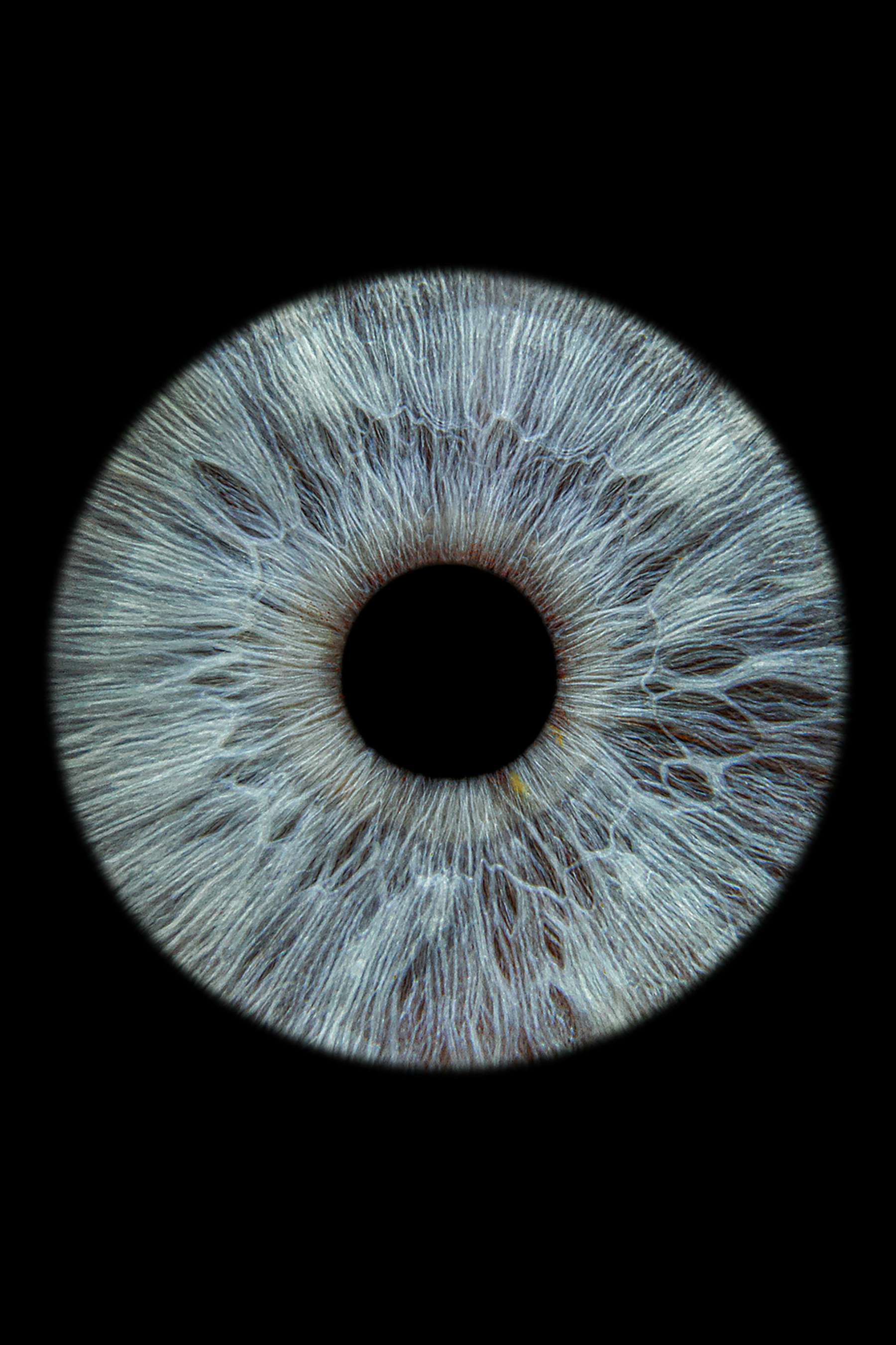 Featured blog image