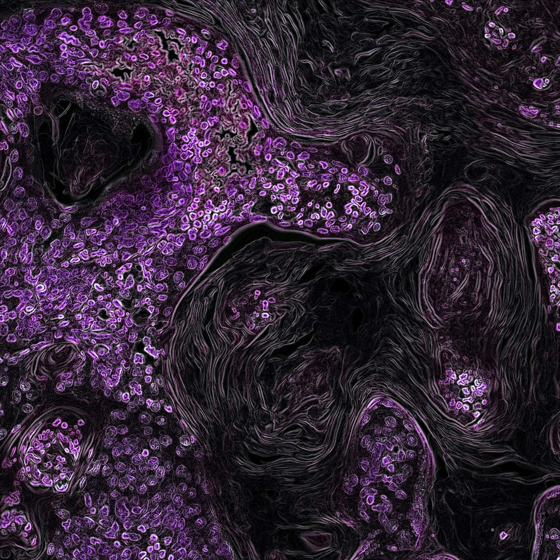 Featured blog image