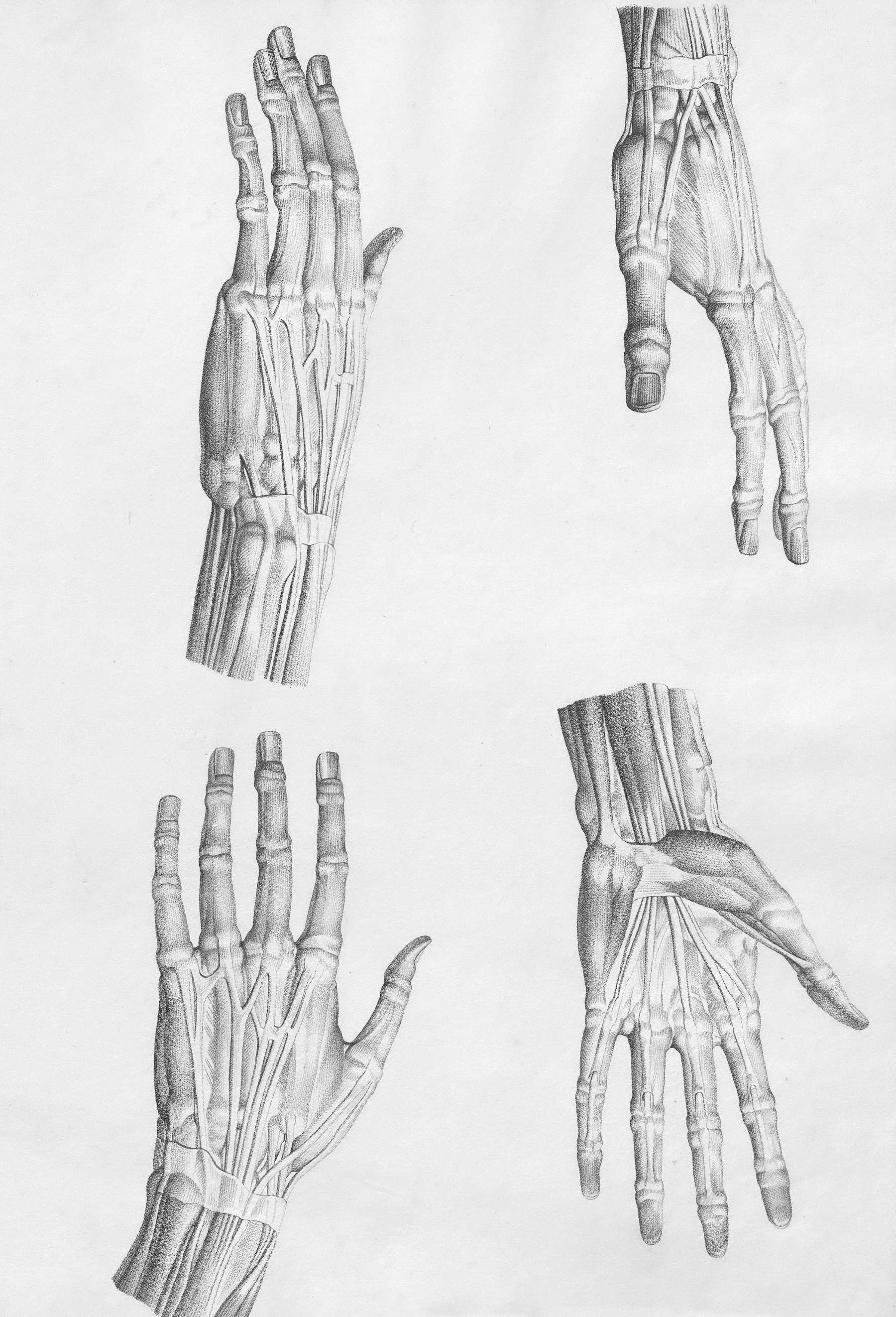Featured blog image